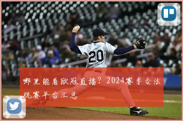 哪里能看欧冠直播？2024赛季合法观赛平台汇总