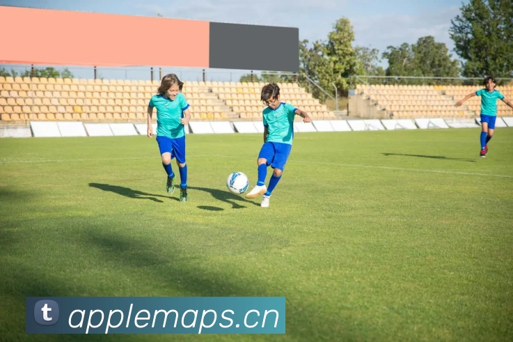 pg.cm国际发展历程